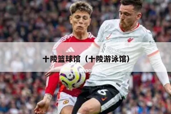 十陵篮球馆（十陵游泳馆）