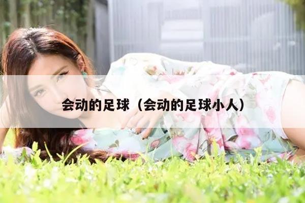 会动的足球（会动的足球小人）