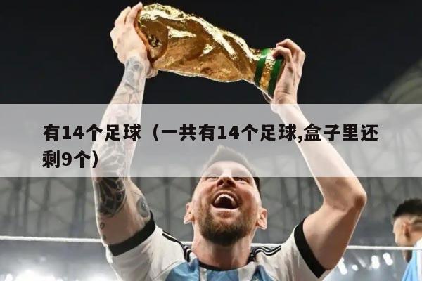 有14个足球（一共有14个足球,盒子里还剩9个）