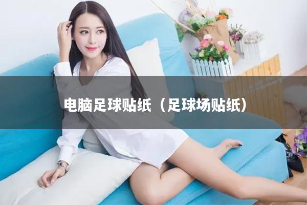 电脑足球贴纸（足球场贴纸）